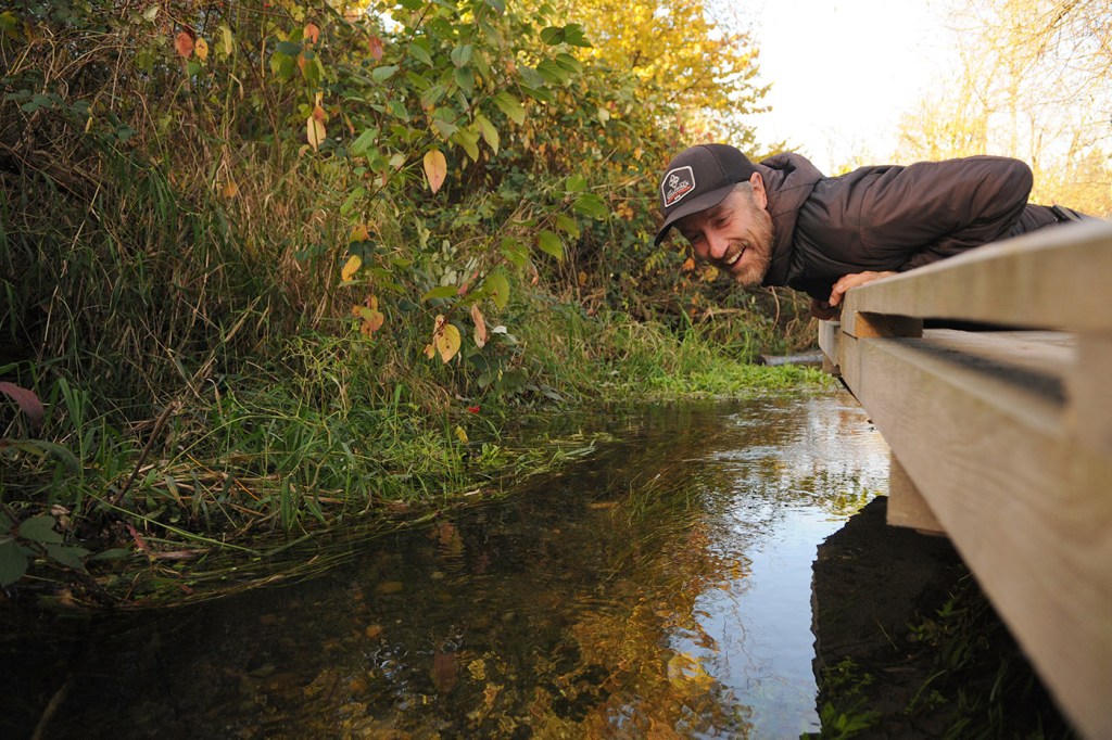 Steve Clegg peers over a platform at Chilliwack Creek on Nov. 7, 2024. Thanks to habitat restoration, spawning chum have returned to the waterway.