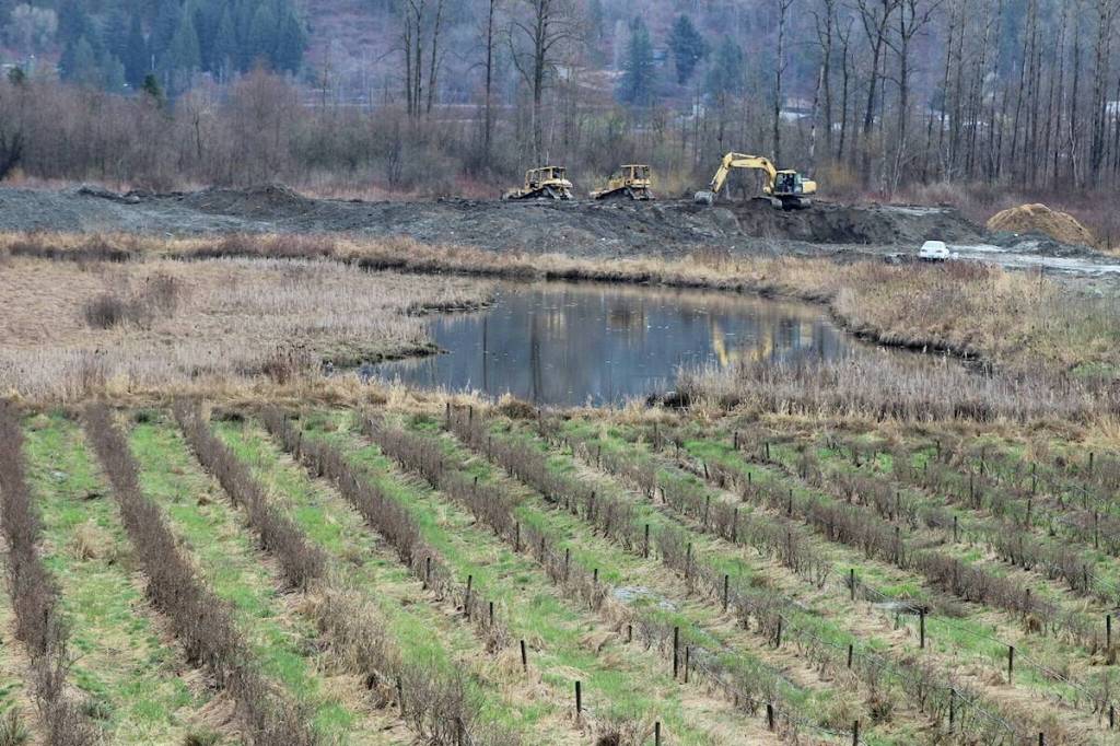 File photo of when stop-work order was issued to 11130 Stave Lake Road for fill-related activities and unauthorized works on March 29, 2024. (Dillon White/Mission City Record file)